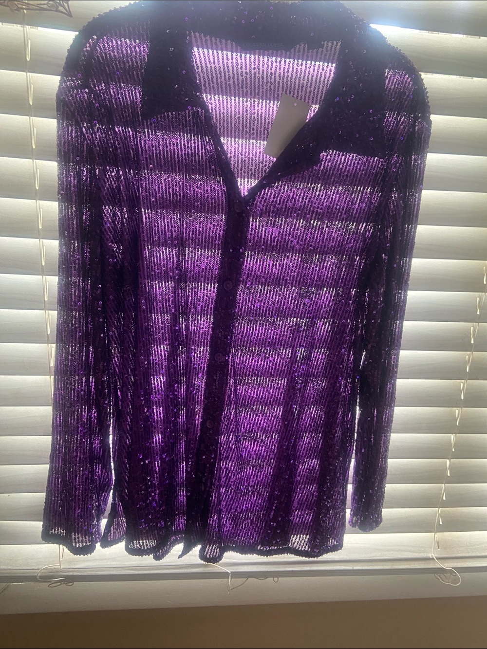 Colleen Lopez Purple Sheer Sequin Button-Front Top